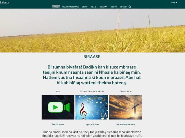 Balanta website Home page