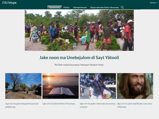 Felupe website Home page
