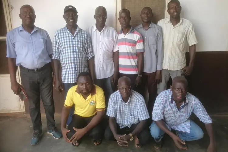 Comité de língua Papel